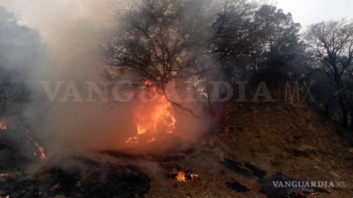 $!Tú puedes ayudar a los brigadistas que combaten el incendio en la sierra de Arteaga