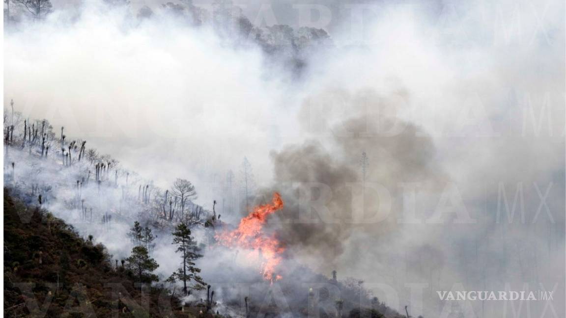 $!Incendio en La Pinalosa registra un 45% de control