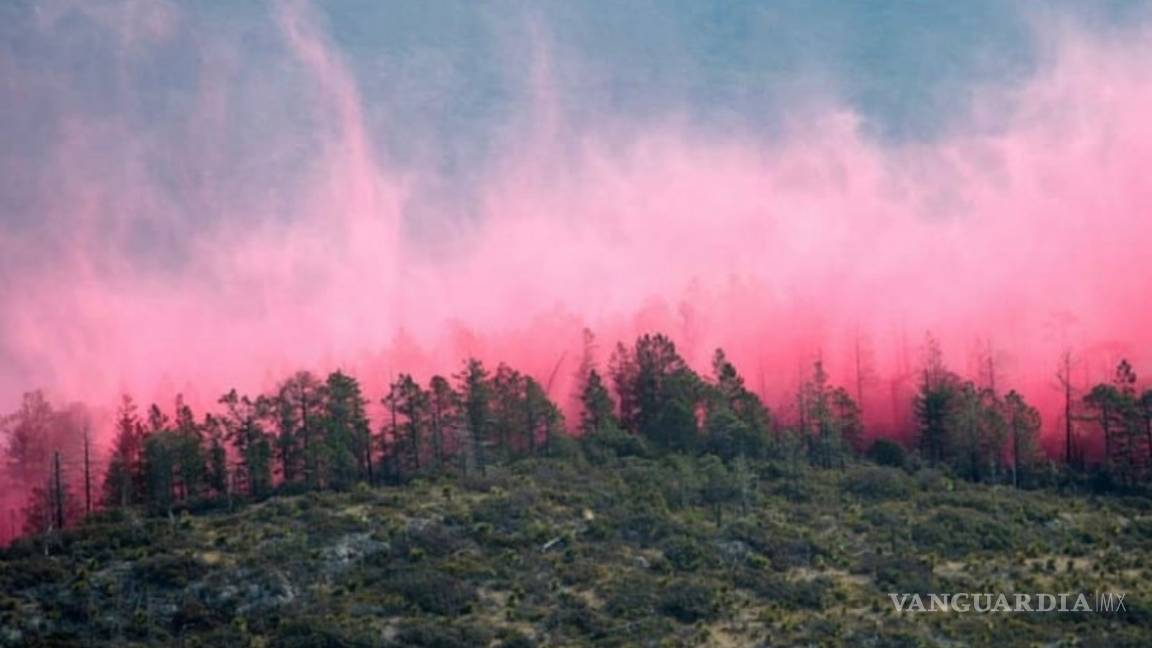 $!Con la ayuda de un avión DC -10 controlan el incendio en Arteaga (fotos)