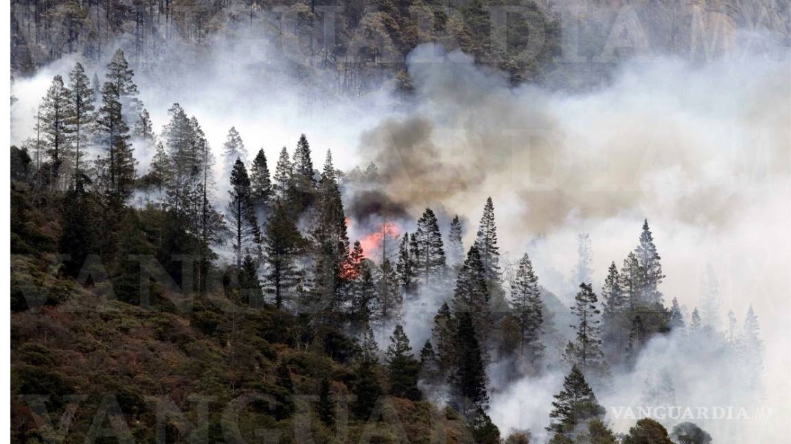 $!Incendio en La Pinalosa registra un 45% de control