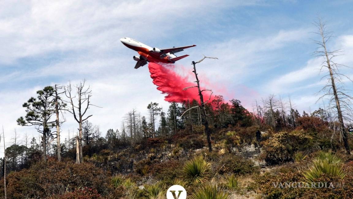 $!Con la ayuda de un avión DC -10 controlan el incendio en Arteaga (fotos)