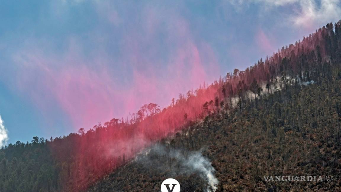 $!Con la ayuda de un avión DC -10 controlan el incendio en Arteaga (fotos)