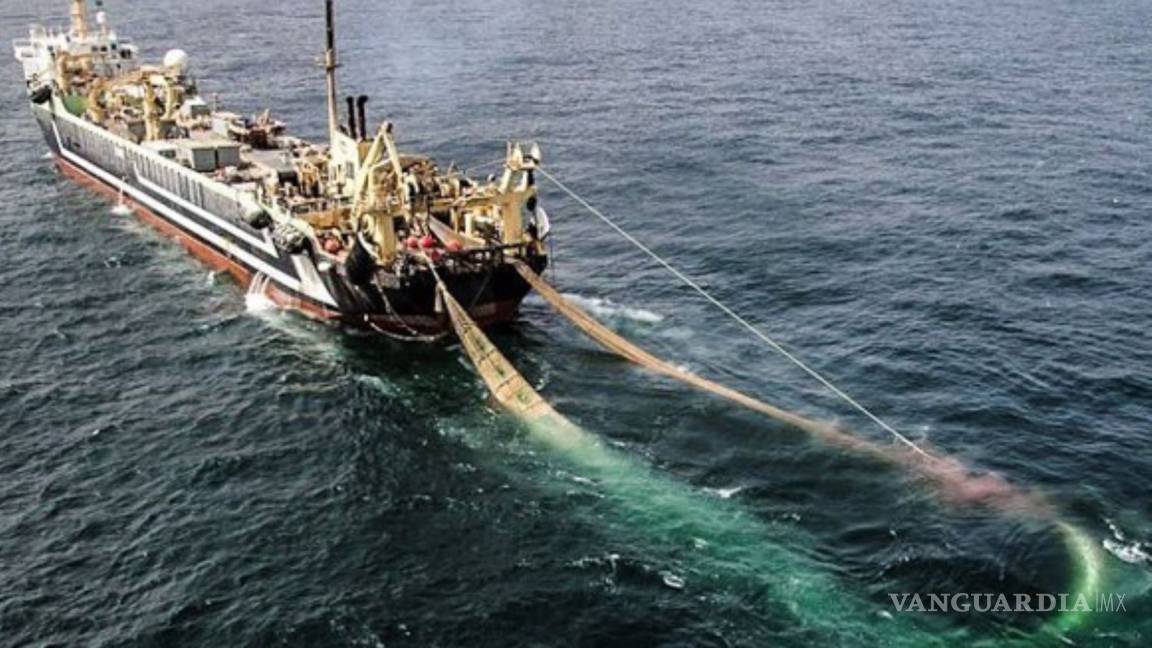 Pesqueros piden a AMLO quitar impuesto a gasolina y diésel marino