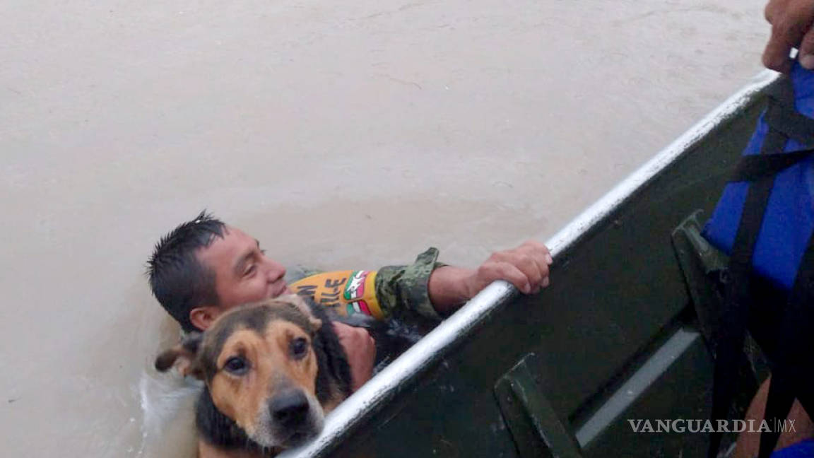 Soldado rescata a un perrito tras inundación en Reynosa
