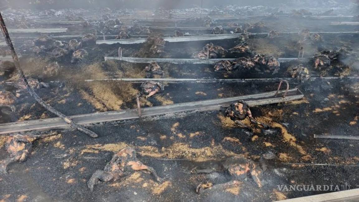 $!Las autoridades informaron que no hubo personas lesionadas, pero sí pérdidas económicas considerables.