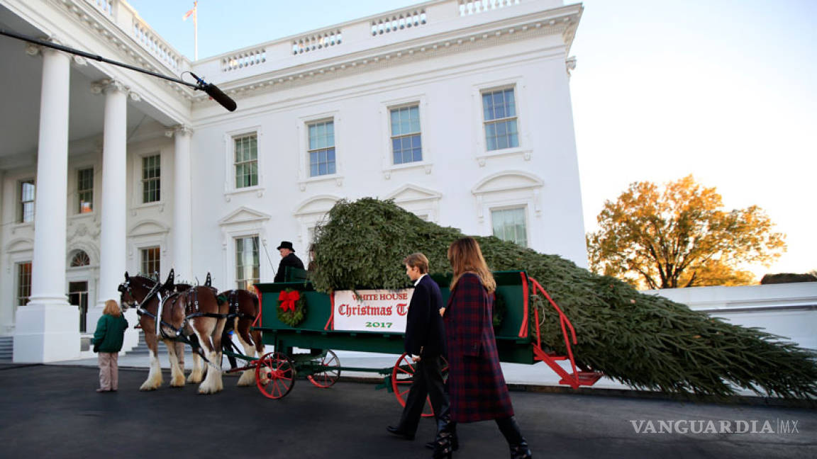 Reciben los Trump su primer árbol de Navidad en la Casa Blanca