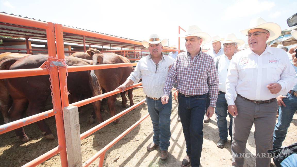 Buscan acreditar a productores de Región Centro para exportar ganado a Estados Unidos