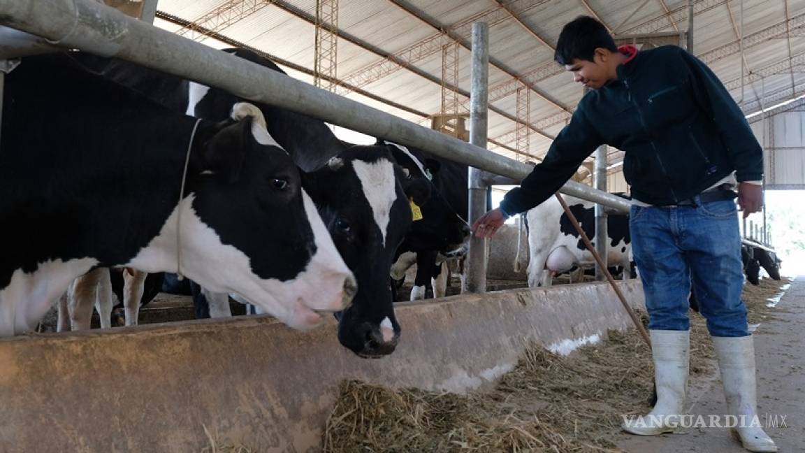 Desconocen productores de leche contenido de tratados de libre comercio