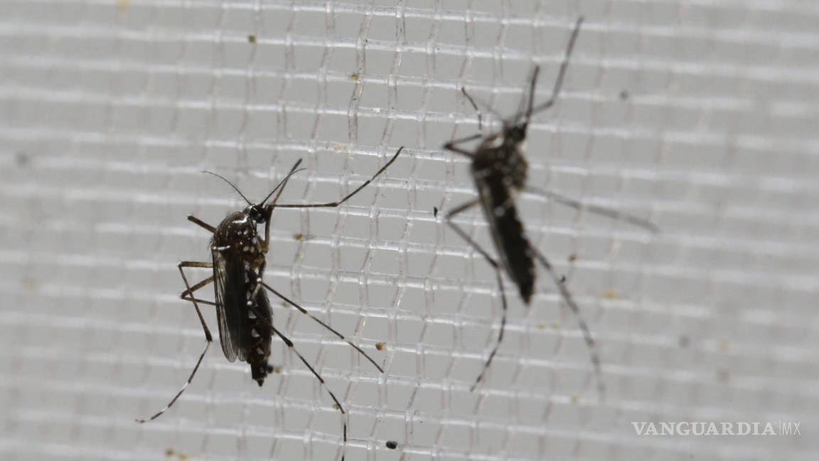 Confirman cuatro casos de Zika en Acuña