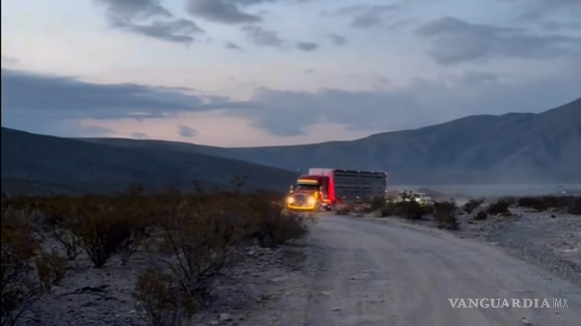 $!La reintroducción fomenta un corredor ecológico indispensable para preservar la biodiversidad de la zona.