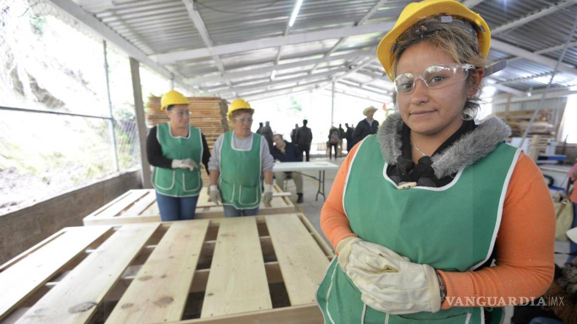 ‘Industria de transformación impulsa crecimiento laboral’