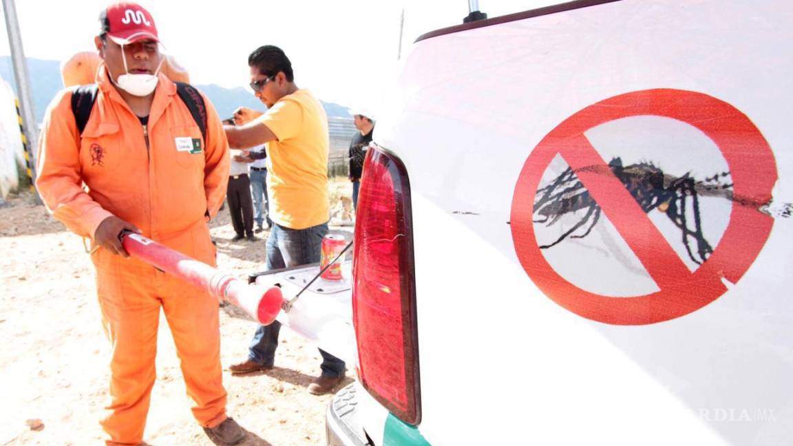 Yucatán, en alerta por alza en casos de dengue