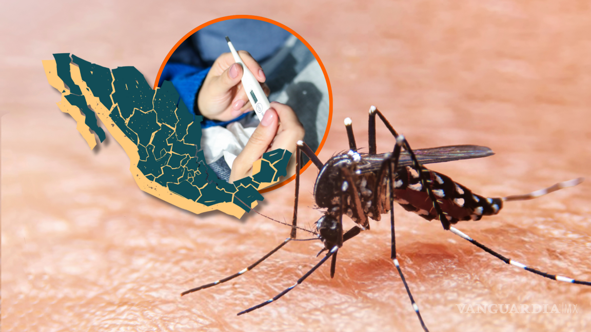 Se registran más de mil casos de dengue en Michoacán y 18 mil en México: ¿Cuáles son sus síntomas y cómo prevenir el contagio?