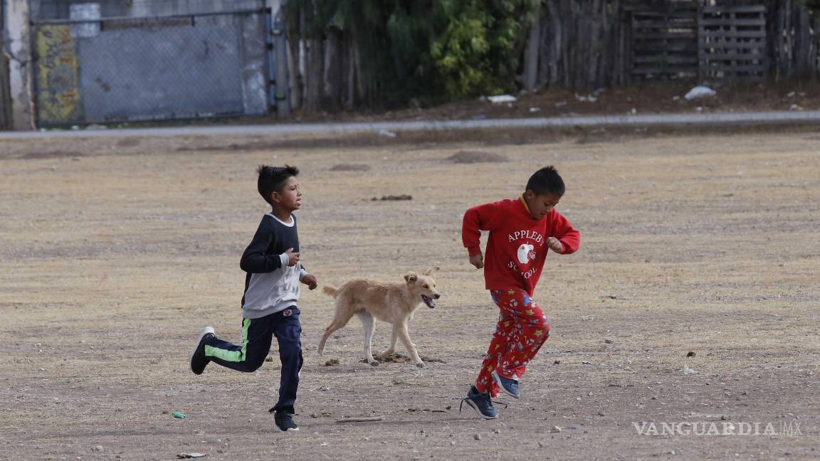 $!Saltillo: ¿Qué anhela un niño que espera la Navidad entre pinos de madera y esferas recicladas?