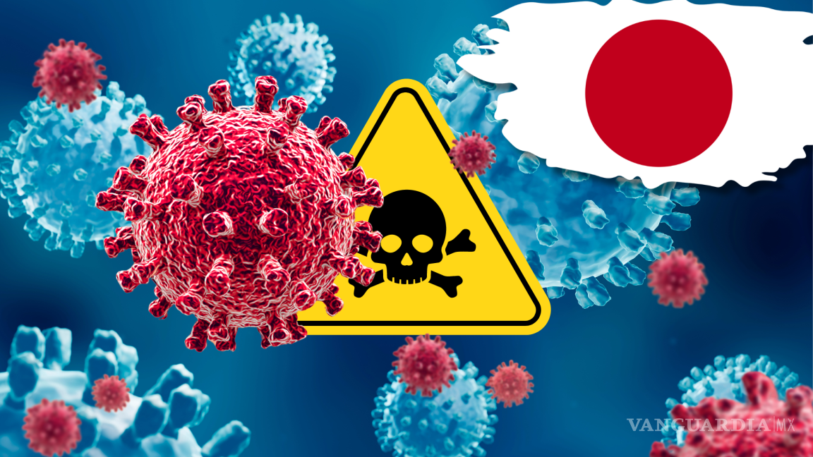 Alerta en Japón por bacteria carnívora que mata en 2 días