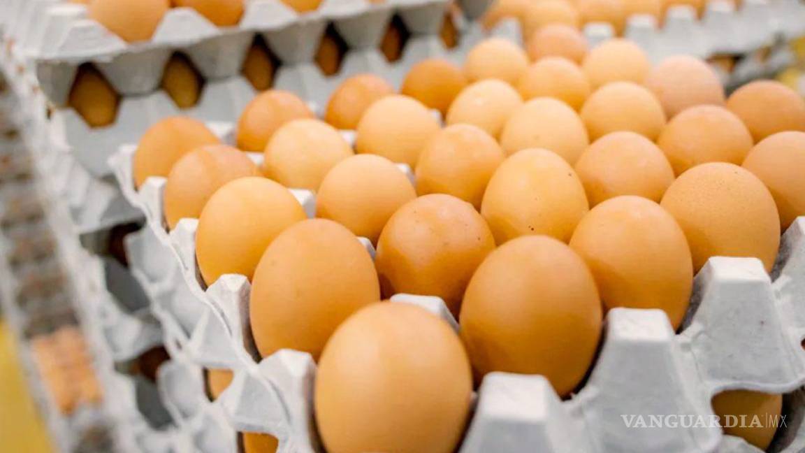 Agárrese, los huevos subirán hasta 15% más