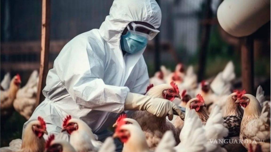 No fue gripe aviar (H5N2); OMS aclara la reciente muerte en México no es atribuible a dicha enfermedad infecciosa