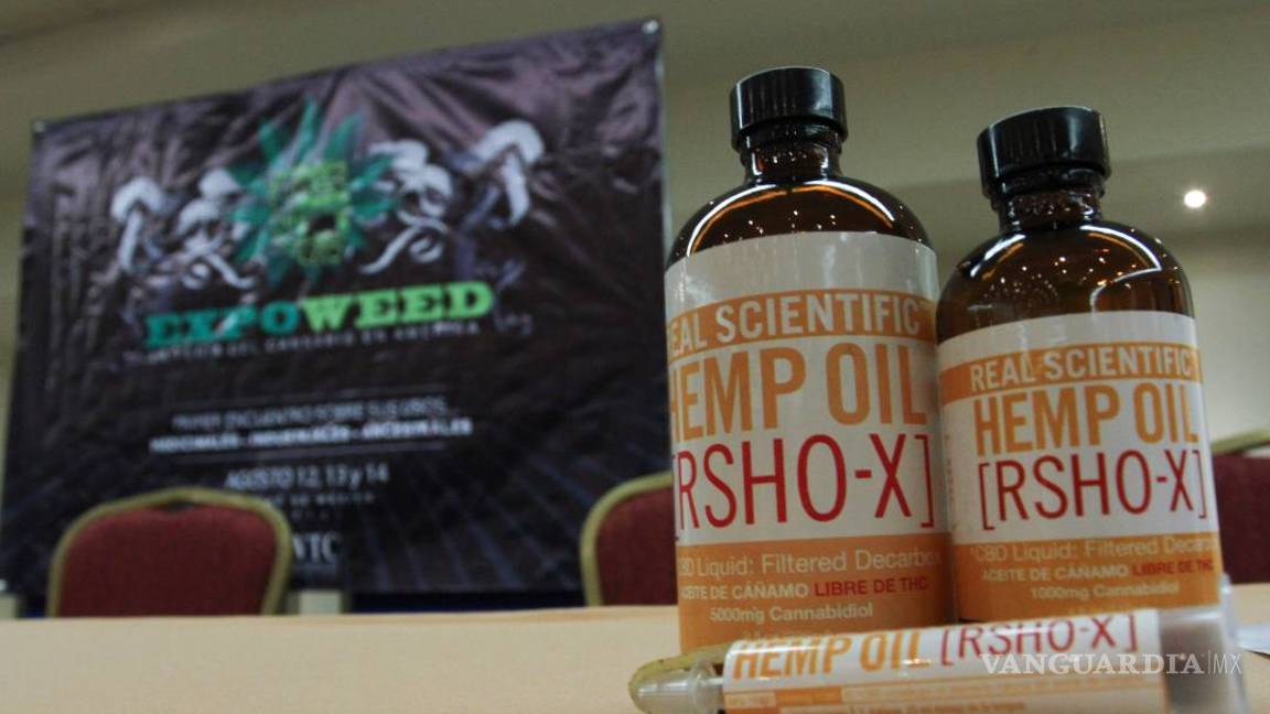 $!“Expoweed”, la feria internacional del cannabis, llega a México