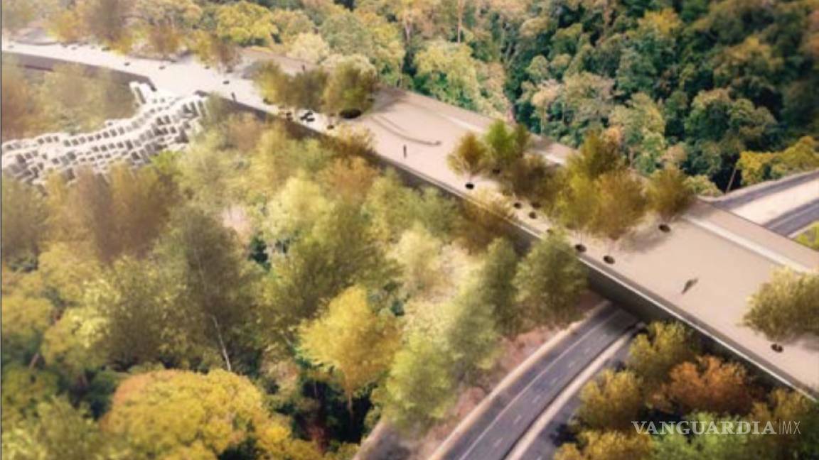 $!"Vean más allá de la Ciudad de México", piden diputados a Alejandra Frausto&nbsp;