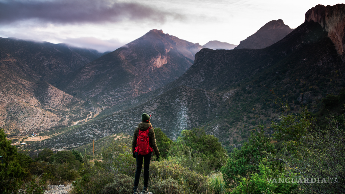 $!Si te encuentras en Saltillo y deseas disfrutar de un refrescante chapuzón en la naturaleza durante estas vacaciones de veranos, estás de suerte.
