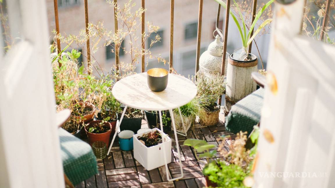 $!¿Verano en casa? Crea la terraza perfecta con estos sencillos consejos