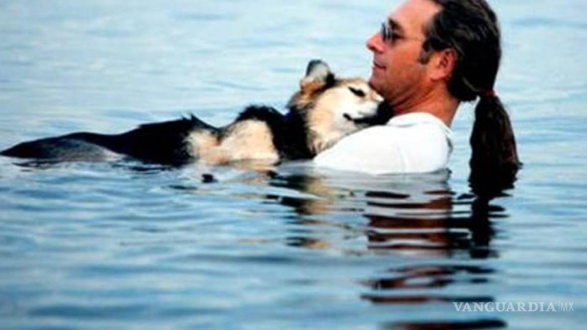 Falleció Schoep, el perro artrítico famoso en Facebook
