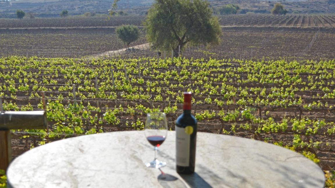 $!Investigadores de la UMH de Elche en España crearon un método con el pueden valorar científicamente la reacción del cerebro al sabor de un vino frente a otro.