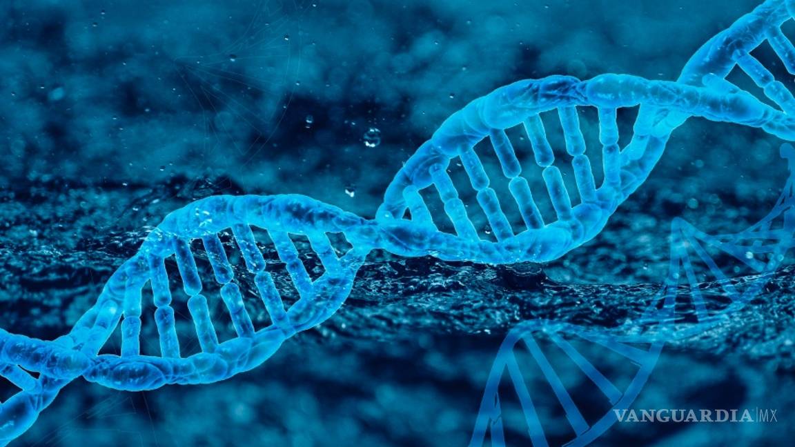 $!Nanobots, robots de ADN que permitirán curar heridas, desobstruir arterias y administrar medicamentos