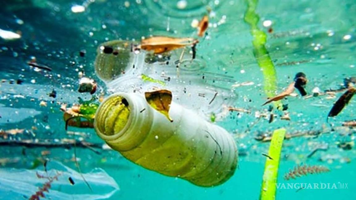 Proponen biodegradar plástico en océanos
