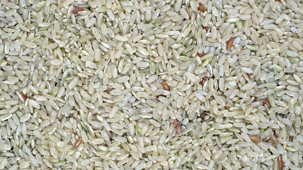 $!Este arroz es 100% puro y no contiene microplásticos, según Profeco