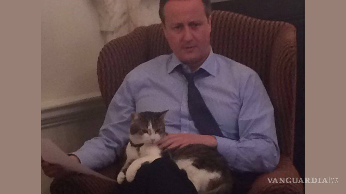 David Cameron se despide del gato Larry