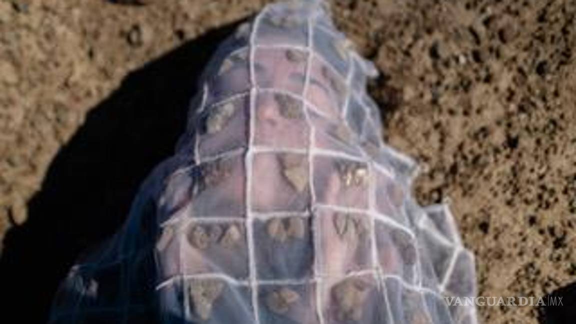 $!Carolina comentó que fue gracias a que el también coahuilense Carlos Vielma asistió a esta misma residencia hace unos años .