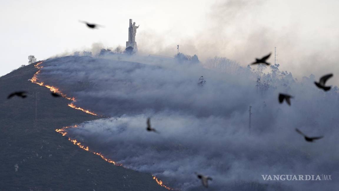 ‘Terroristas’ iniciaron los más de 100 incendios forestales que consumen Asturias: funcionarios