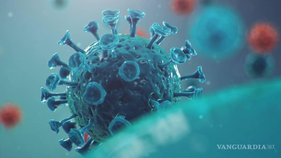 Hay más de 2 millones 600 mil casos de coronavirus en el mundo