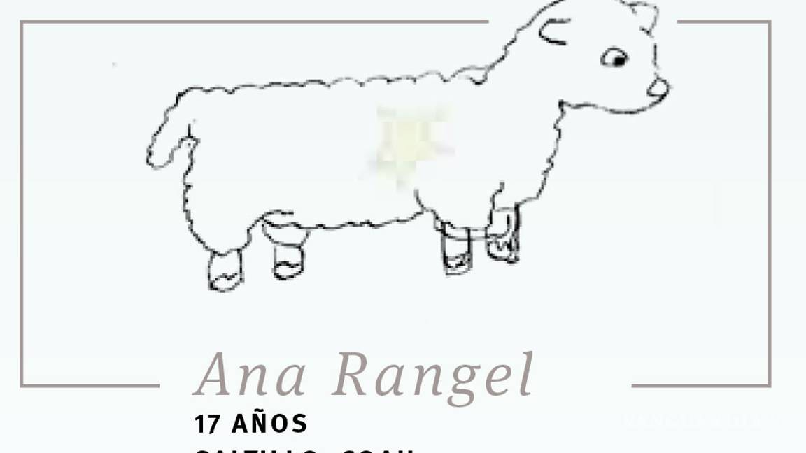 $!A 75 años de la publicación de 'El Principito', pedimos a lectores y colaboradores: 'Por favor... dibújame un cordero!