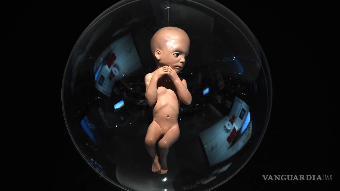 $!Stanley Kubrick y su legado será recordado en Londres