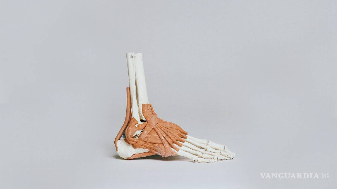 $!No todas las opciones funcionan para todos, así que es importante explorar y encontrar lo que a ti te ayuda a mantenerte activo.