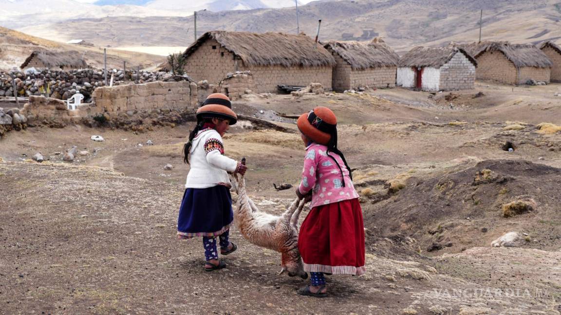 $!Niñas cargan una oveja moribunda en la comunidad de Cconchaccota en la región Apurímac de Perú.