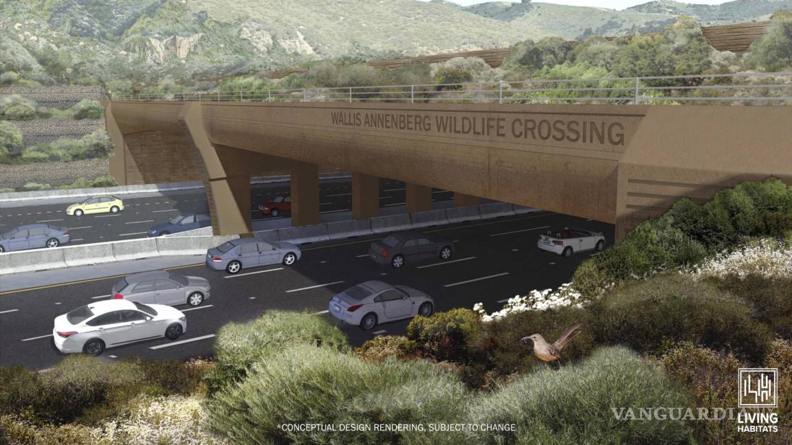 $!Diseño conceptual de cómo será el Puente Para la Vida Silvestre Wallis Annenberg en California.