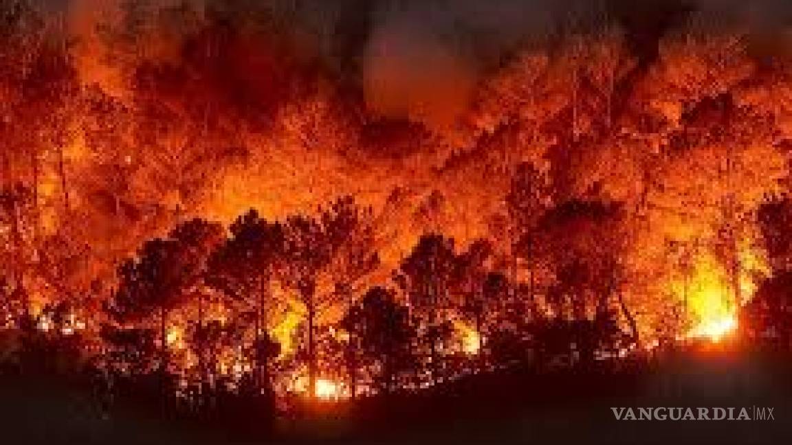 Suman 40 incendios en Coahuila