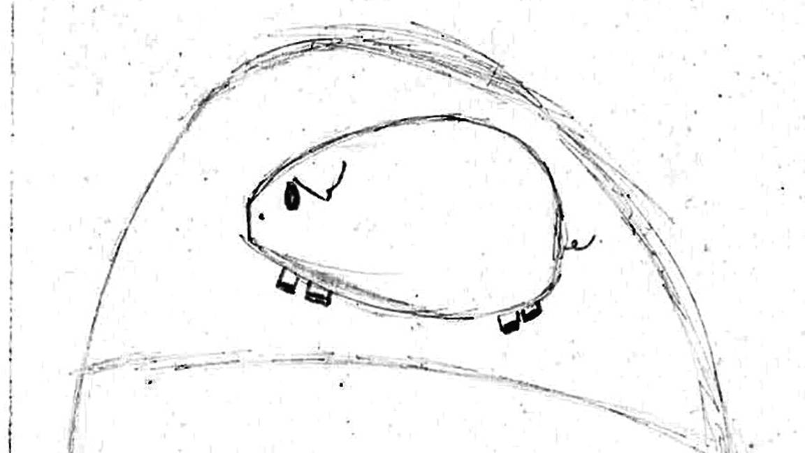 $!'Niños en residencia': Desde sus casas, niños comparten su arte en el Cerdo de Babel