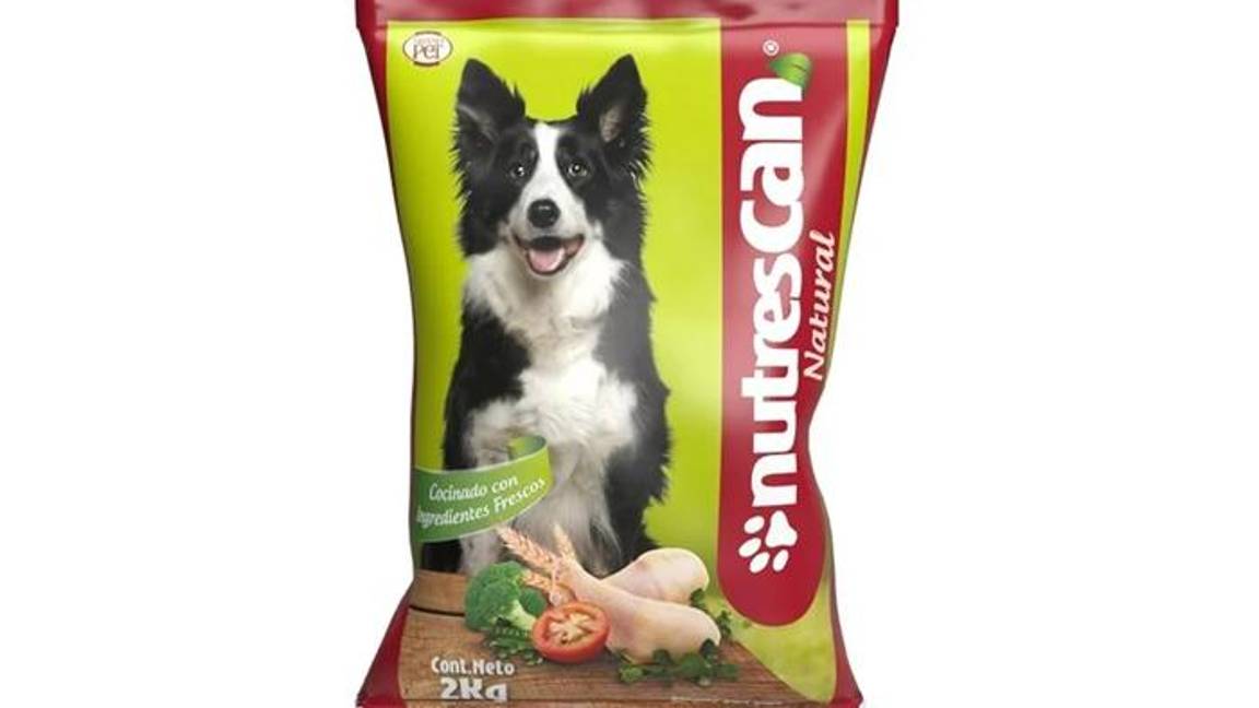 $!¿Pro Plan, Campeón o Dog Chow?... según Profeco, estas son las peores marcas de croquetas y las más dañinas para tu perro