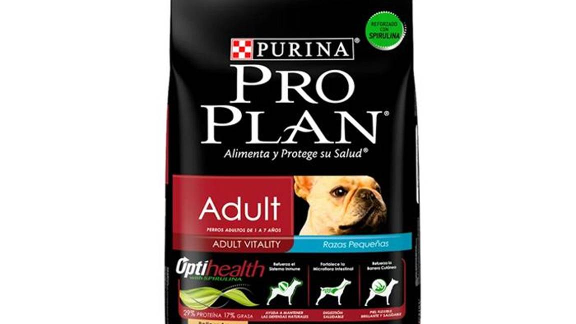 $!¿Pro Plan, Campeón o Dog Chow?... según Profeco, estas son las peores marcas de croquetas y las más dañinas para tu perro