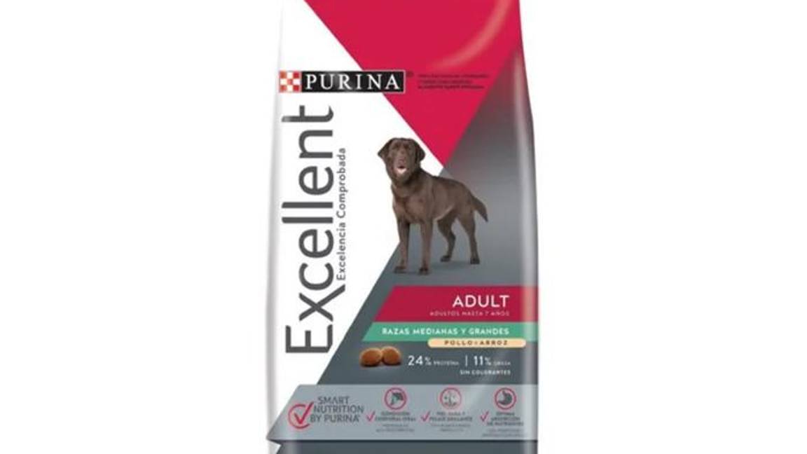 $!¿Pro Plan, Campeón o Dog Chow?... según Profeco, estas son las peores marcas de croquetas y las más dañinas para tu perro