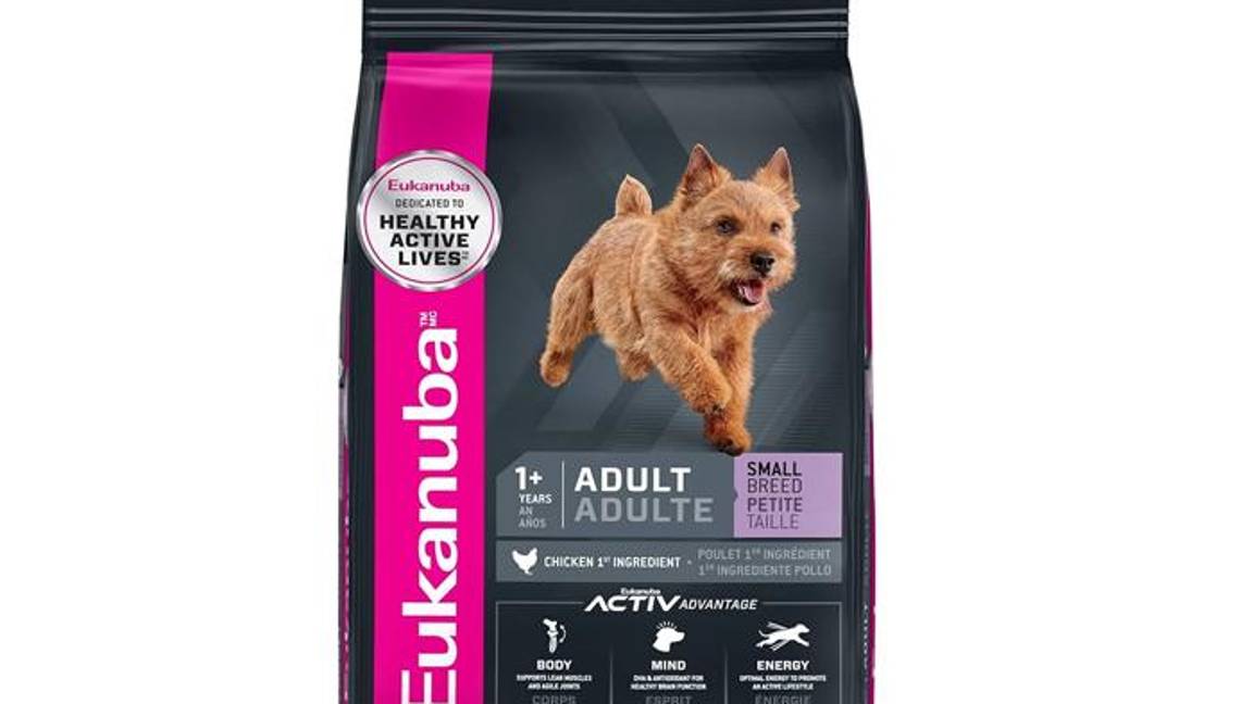 $!¿Pro Plan, Campeón o Dog Chow?... según Profeco, estas son las peores marcas de croquetas y las más dañinas para tu perro