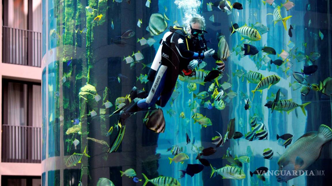 $!AquaDom, el acuario cilíndrico más grande del mundo