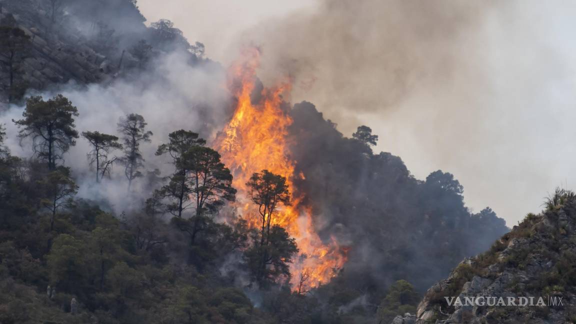 A ritmo récord, afectación por incendios forestales en Coahuila