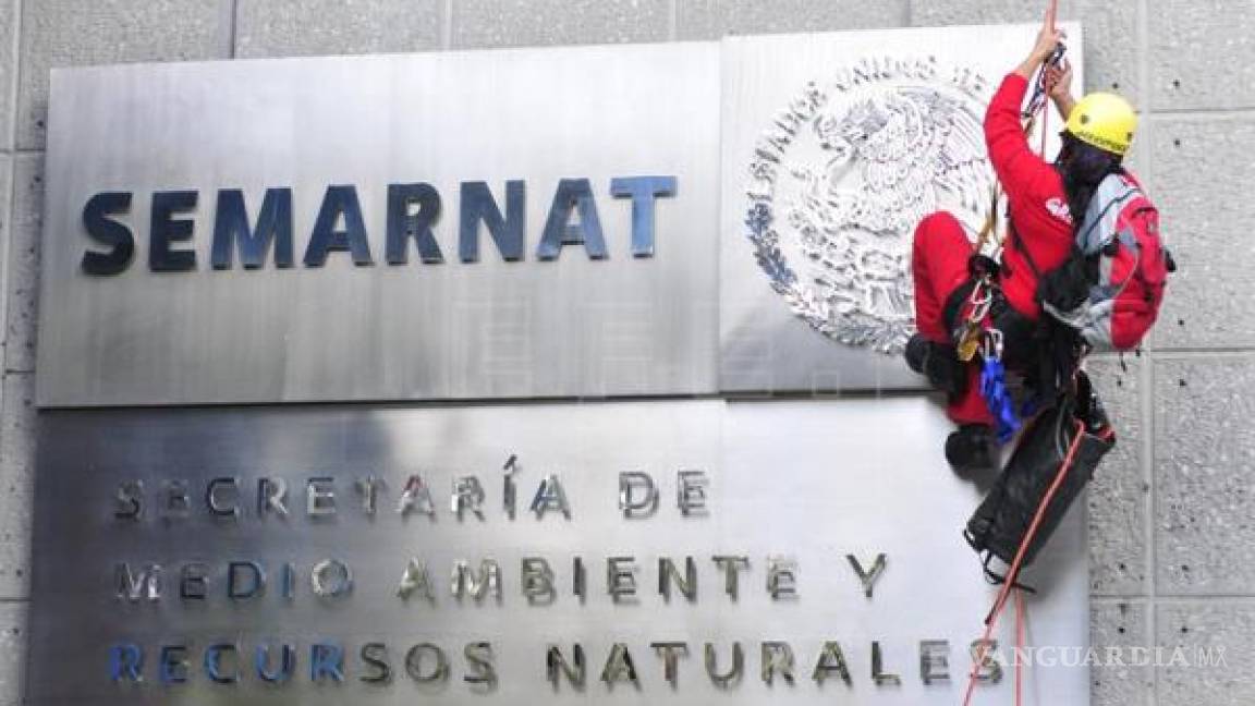 Secretaría de Medio Ambiente traslada sede al estado mexicano de Yucatán