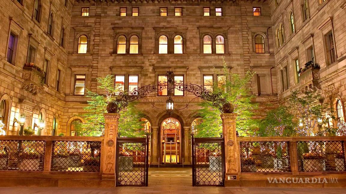 $!Destinos pet friendly para viajar con tu mascota