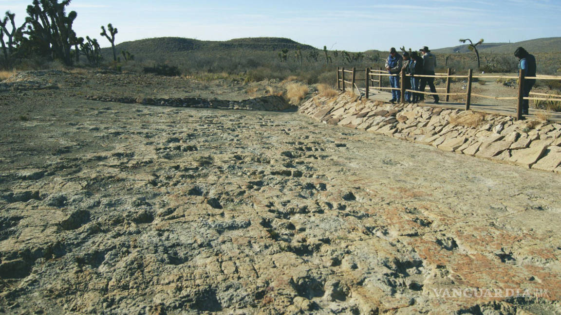 Continúa inconcluso Parque Paleontológico en Rincón Colorado, Coahuila